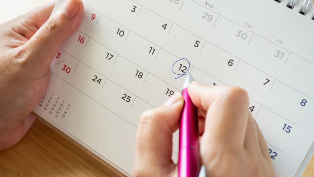 calendario logistico 2025 pelican catchy